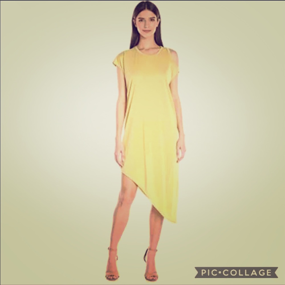 BcbgMazAzria asymmetrical dress/ tunic